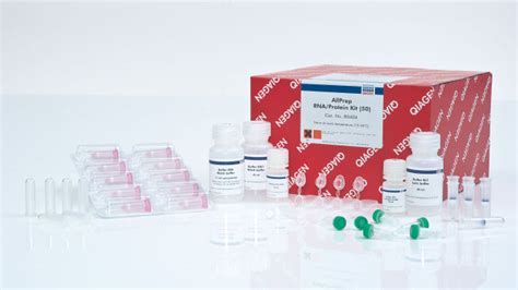 allprep dna rna protein kit.